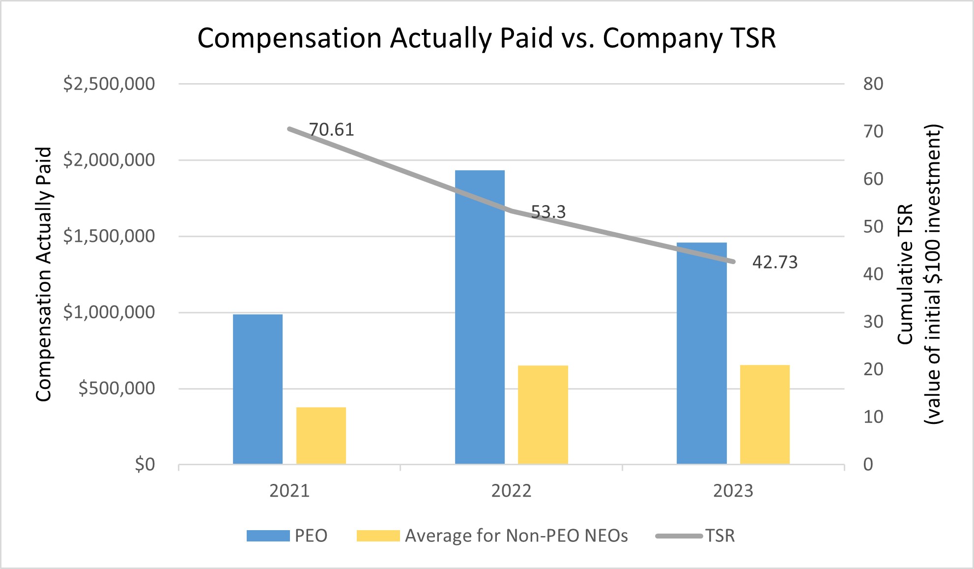 Pay versus Performance Chart.jpg